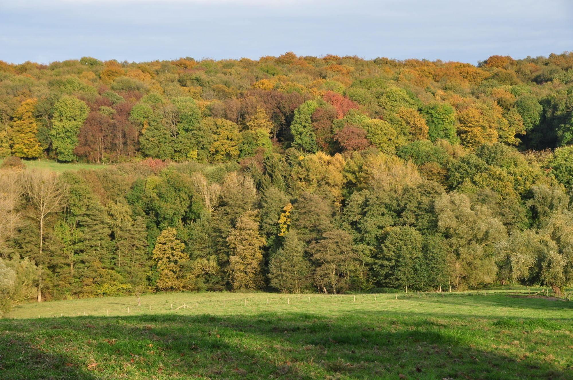 Klein Zwitserland Slenaken Exteriör bild